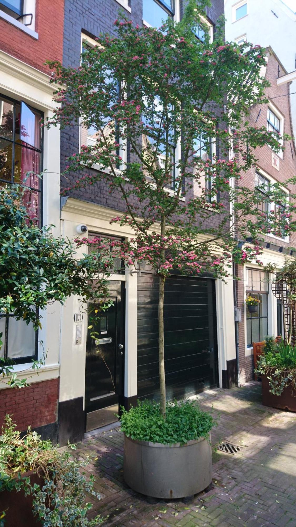 Huis Roomolen Amesterdão Exterior foto